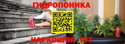 ГАЛЛЮЦИНОГЕННЫЕ ГРИБЫ Шебекино