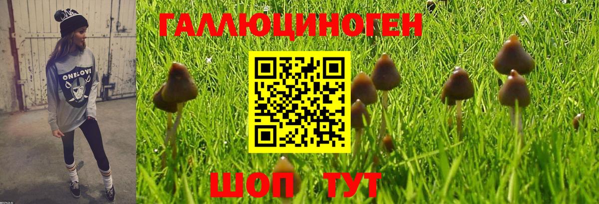 Псилоцибиновые грибы GOLDEN TEACHER  Вход с VPN  Ростов-на-Дону 